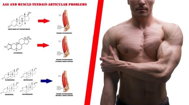 开云注册入口-王勤伯：博格巴睾丸酮阳性，他有可能是无辜的吗？